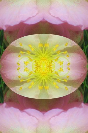 印花华亿平台图片