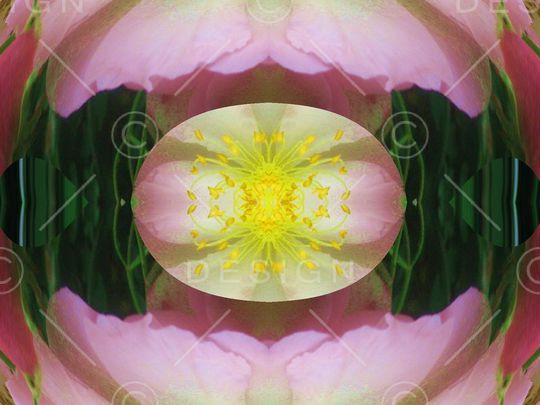 印花华亿平台图片