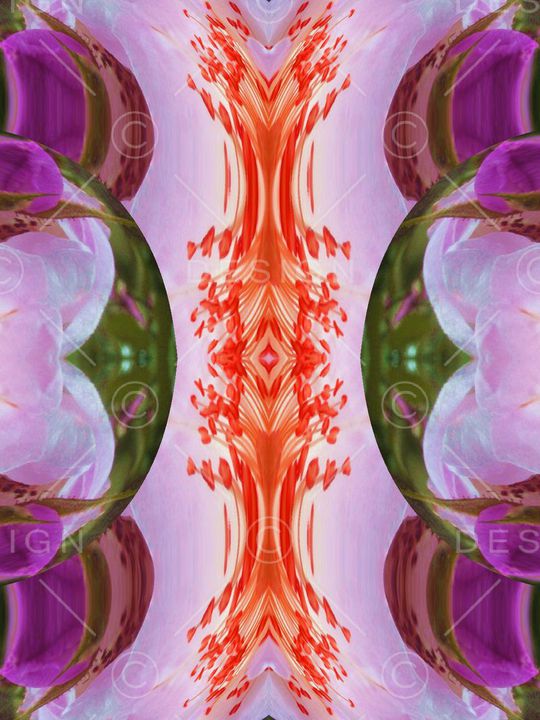 女装印花华亿平台图片