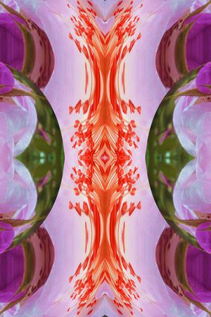 女装印花华亿平台图片