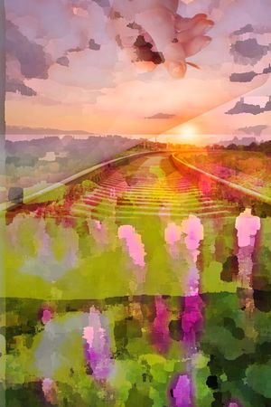 印花华亿平台图片