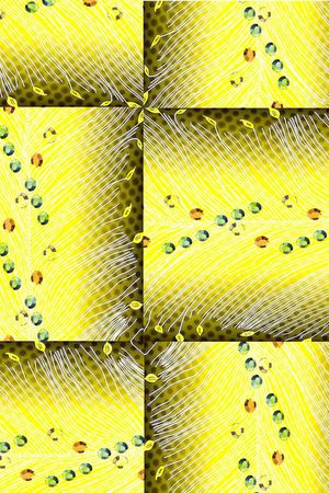 印花华亿平台图片
