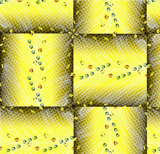 印花华亿平台图片