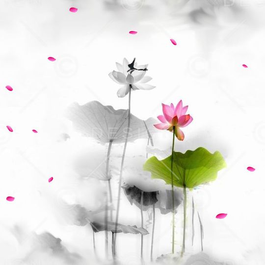 印花华亿平台图片