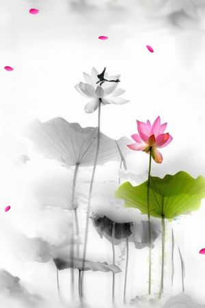 印花华亿平台图片