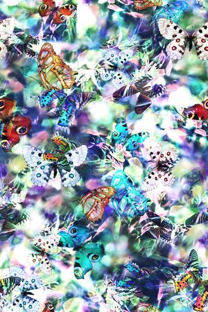 蝴蝶印花华亿平台图片