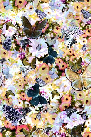 蝴蝶印花华亿平台图片