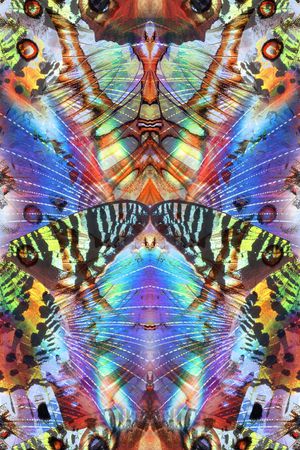 对称 梦幻 蝴蝶 翅膀 动物 服装 印花华亿平台图片