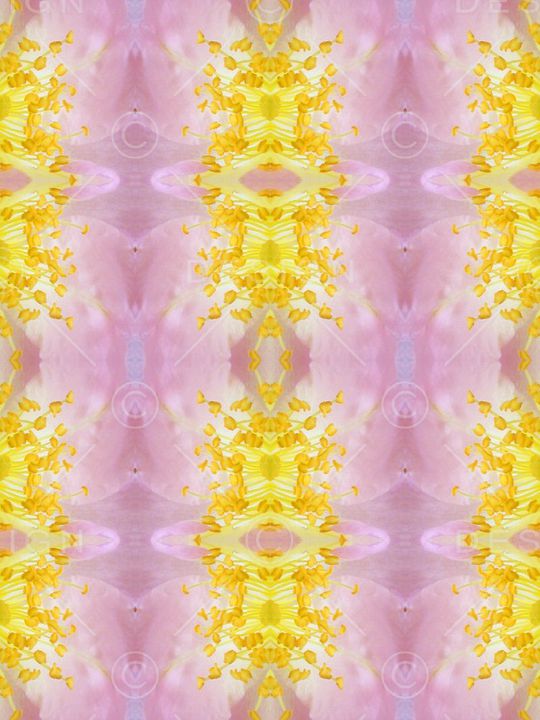 女装印花华亿平台图片