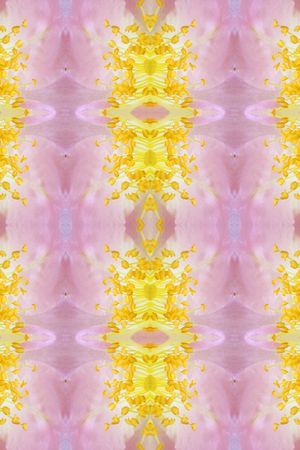 女装印花华亿平台图片