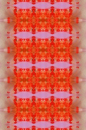 民族印花华亿平台图片