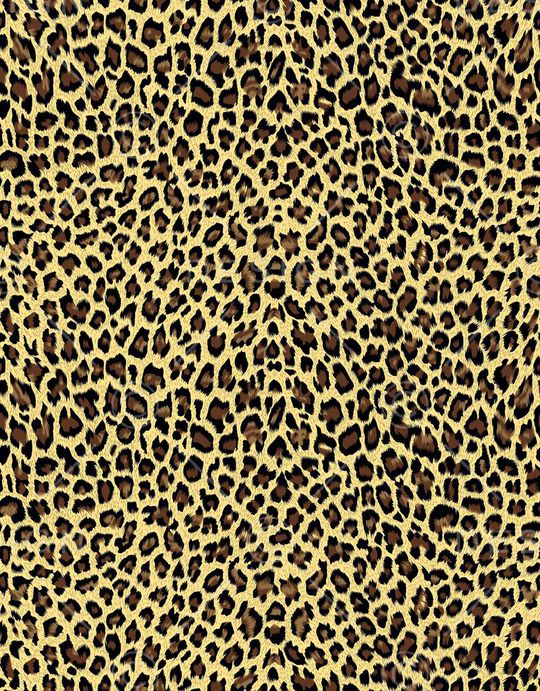 豹纹印花华亿平台图片