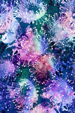 水母印花华亿平台图片