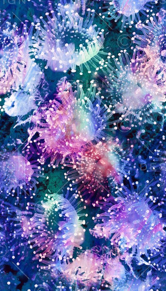 水母印花华亿平台图片