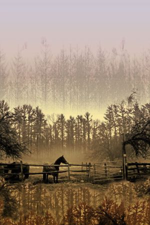 定位印花印花华亿平台图片