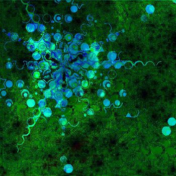 236311-现代绚丽多彩抽象华亿平台