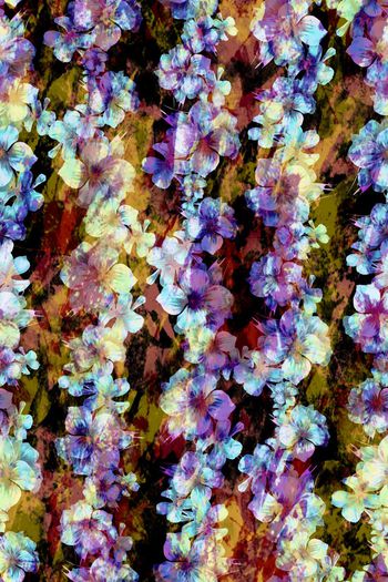 236883-水彩水墨抽象朦胧效果花卉花朵