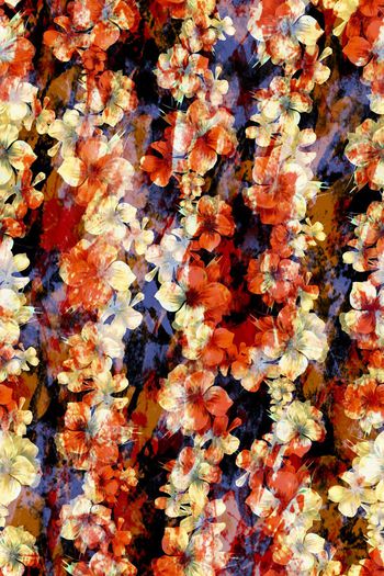 236885-水彩水墨抽象朦胧效果花卉花朵