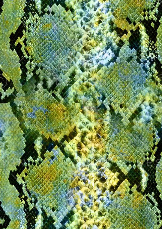 动物纹印花华亿平台图片