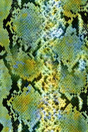 动物纹印花华亿平台图片