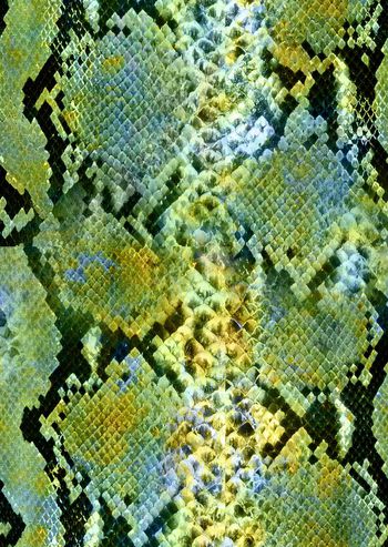 动物纹印花华亿平台图片