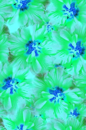 印花华亿平台图片