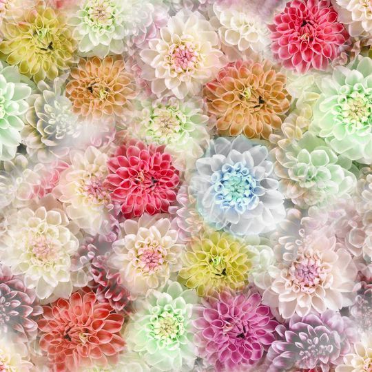 朦胧 清新 大花 花卉 花朵 堆叠 满底 服装印花华亿平台图片