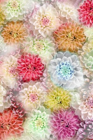 朦胧 清新 大花 花卉 花朵 堆叠 满底 服装印花华亿平台图片