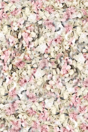 清新 朦胧 花卉 花朵 树叶 粉色 粉嫩印花华亿平台图片