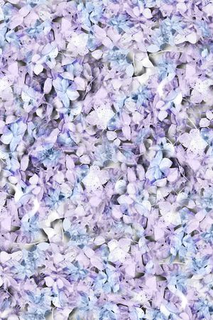 流行服装印花华亿平台图片