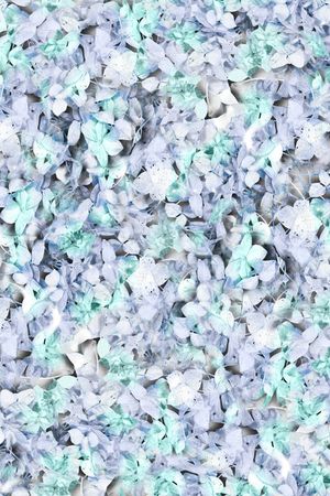 流行服装印花华亿平台图片