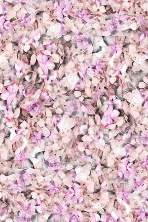 流行服装印花华亿平台图片