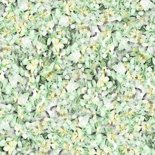 流行服装印花华亿平台图片