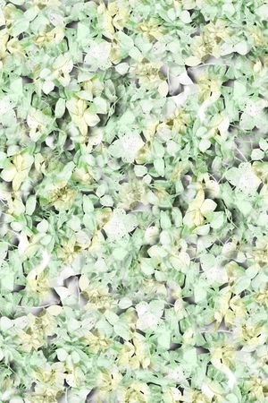 流行服装印花华亿平台图片