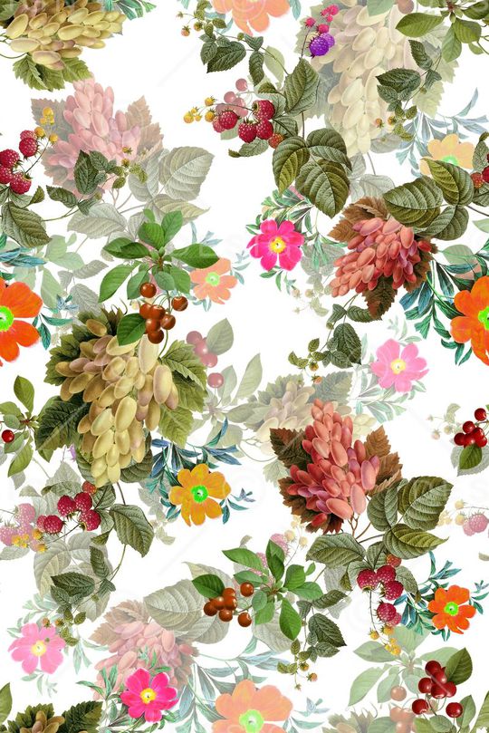 提子 花卉 水果 大花 白底 清新 服装 多彩印花华亿平台图片