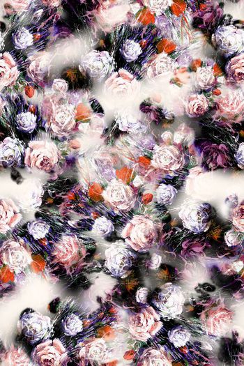 239673-油画效果玫瑰花花卉花朵