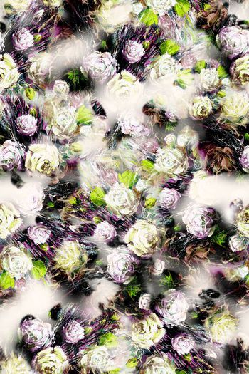 239674-油画效果玫瑰花花卉花朵