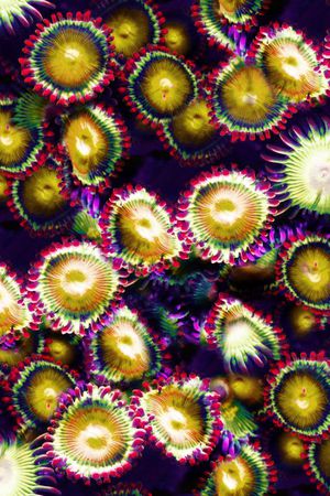 印花华亿平台图片