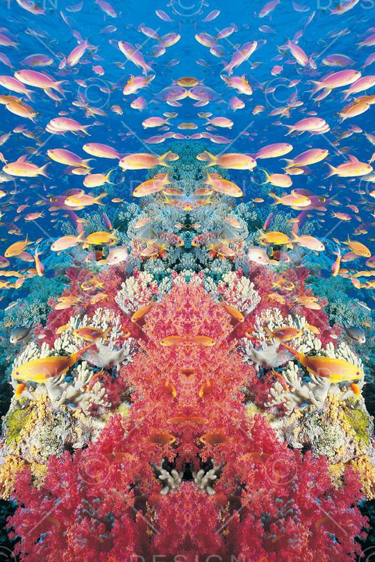 休闲印花华亿平台图片