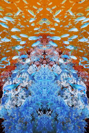 印花华亿平台图片