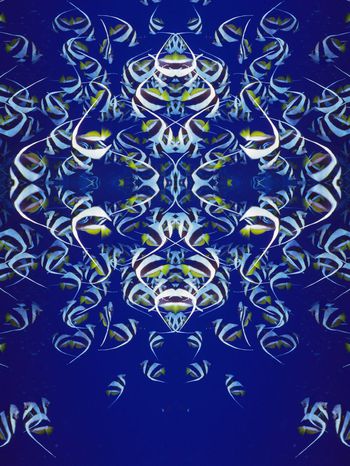 241226-WT018热带鱼鱼群对称彩色印花花