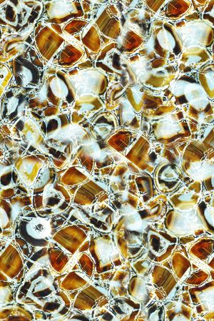 休闲印花华亿平台图片