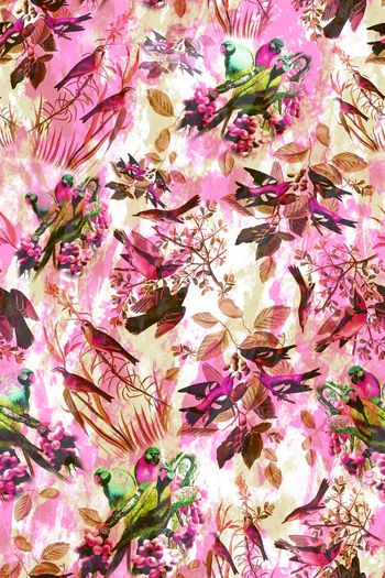 241391-花鸟花卉花朵