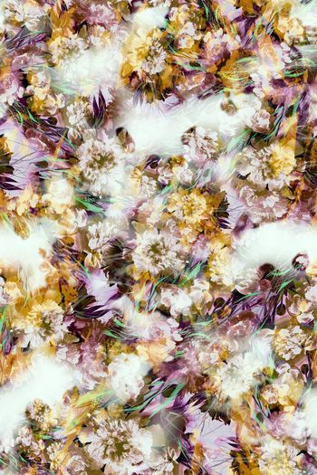 241436-多彩油画花卉花朵组合