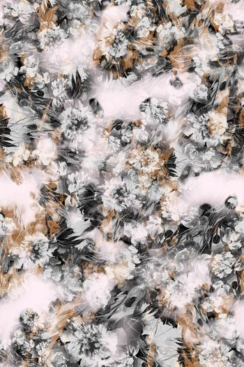 241437-多彩油画花卉花朵组合