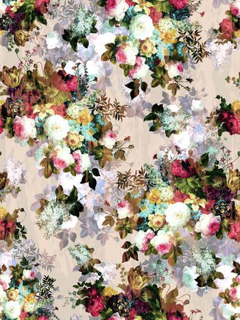 241609-花卉花朵组合