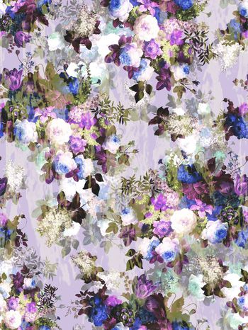 241611-花卉花朵组合