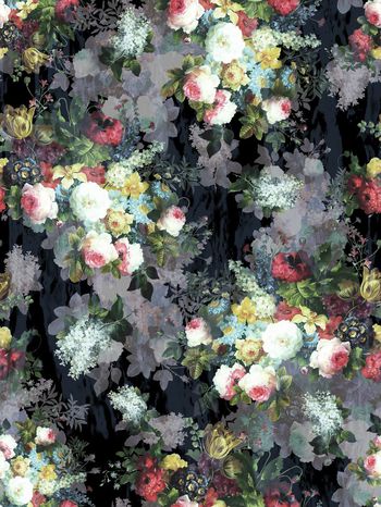 241612-花卉花朵组合