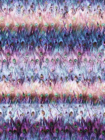 241693-纹理羽毛抽象