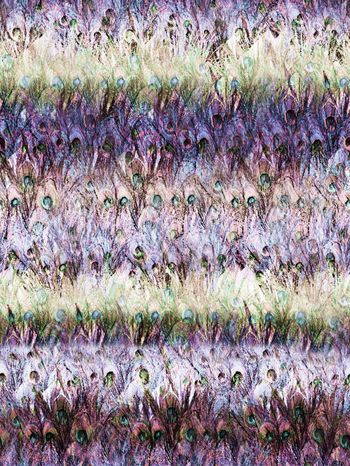 241695-纹理羽毛抽象